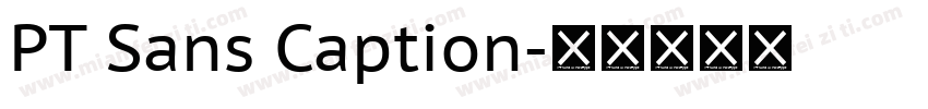 PT Sans Caption字体转换